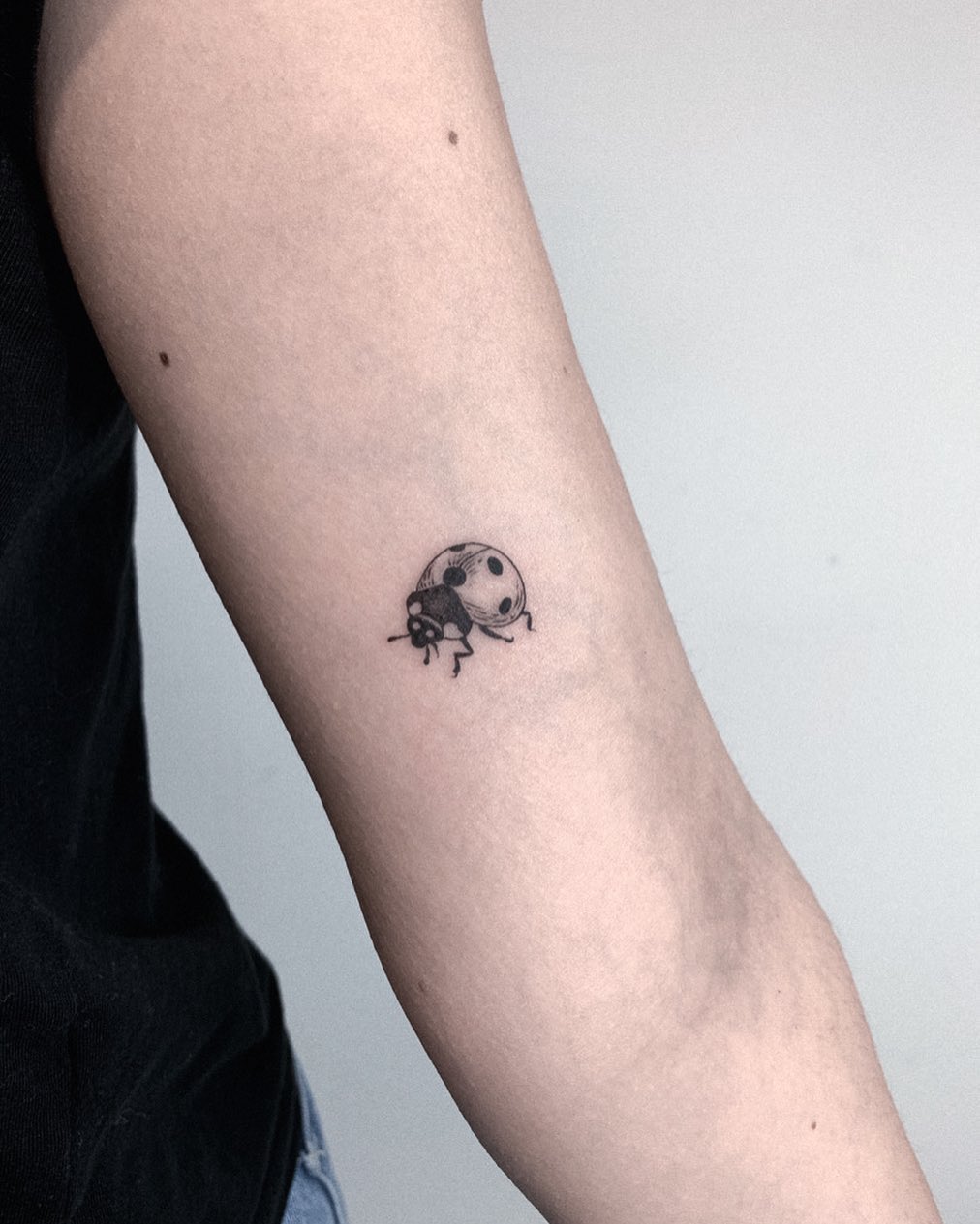 little bear tattooTikTok Search