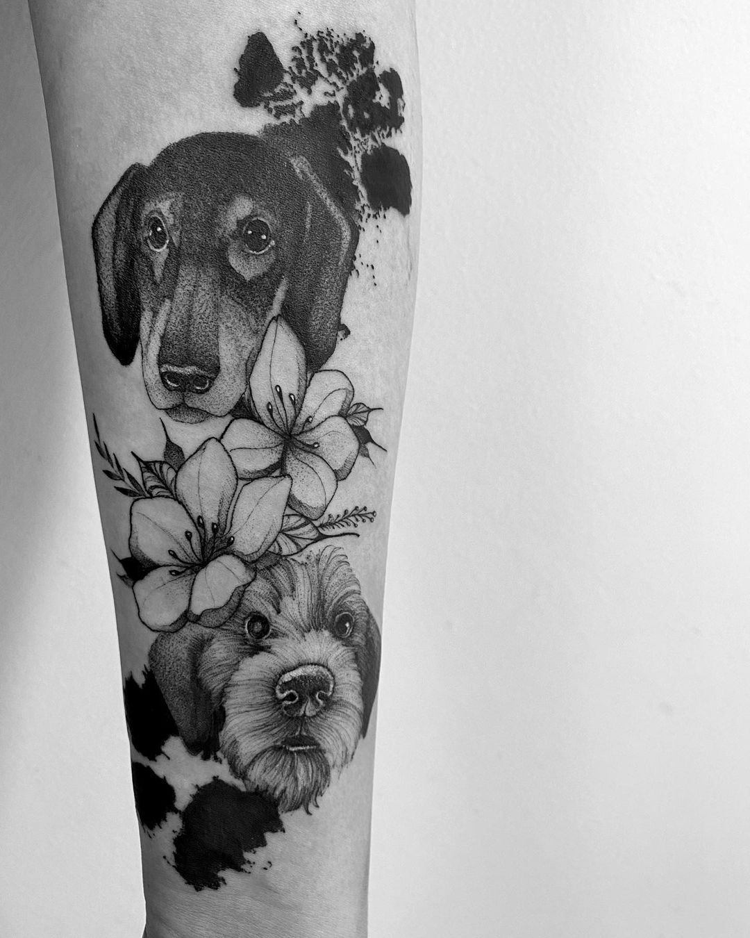 Realistic white boxer dog portrait tattoo