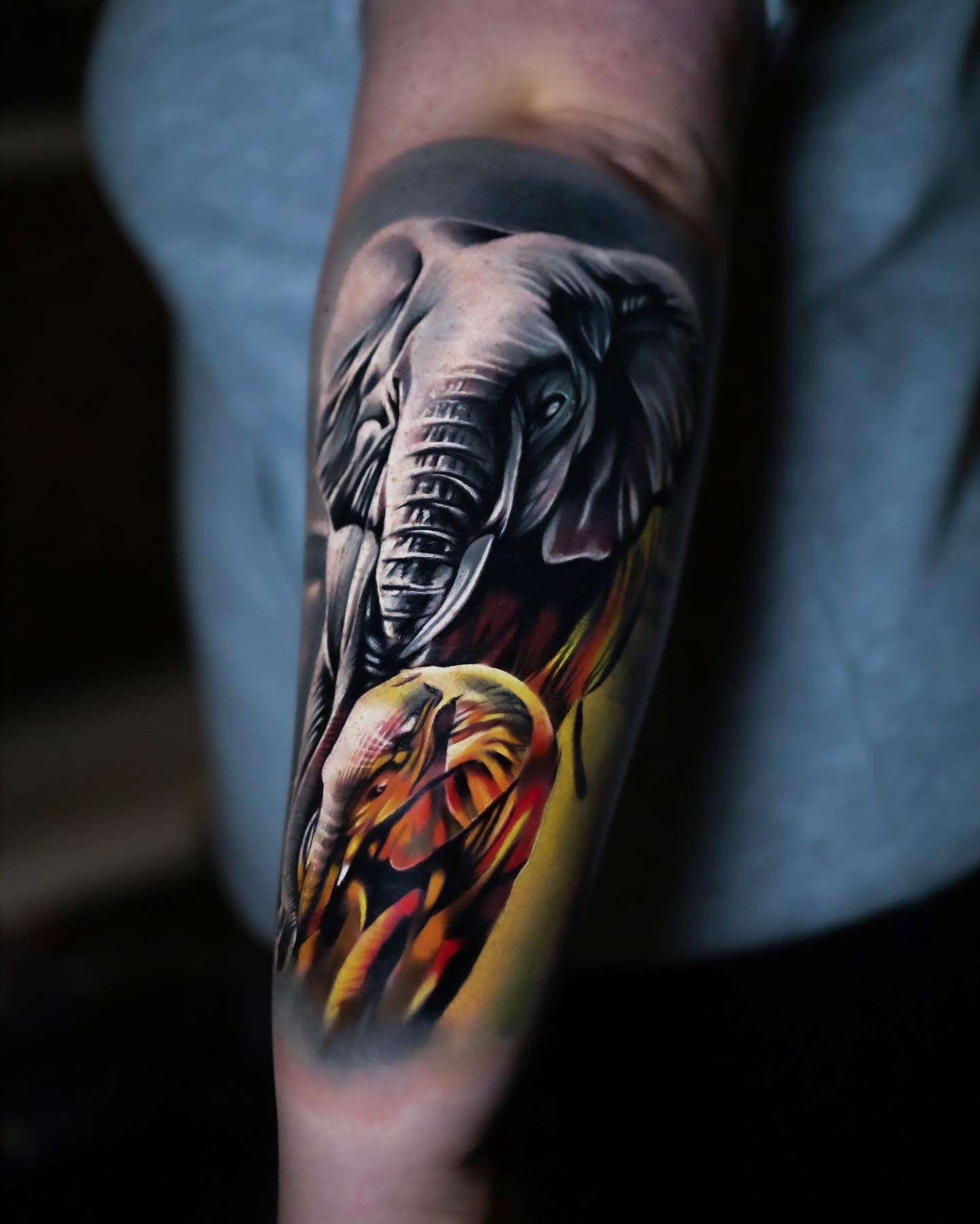 Half sleeve by Steve Sims, Topnotch Tattoos, Elgin, IL : r/tattoos