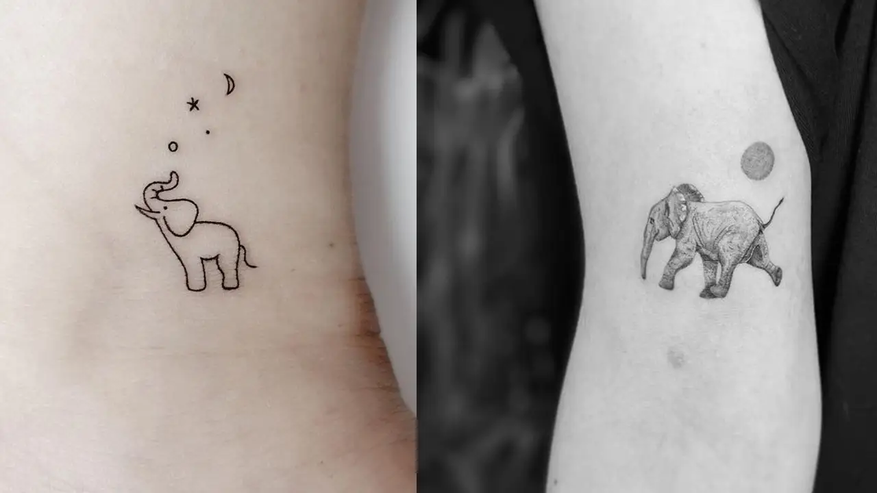Elephant and lion bracelet... - Fuzzy Panda Tattoo Studio | Facebook