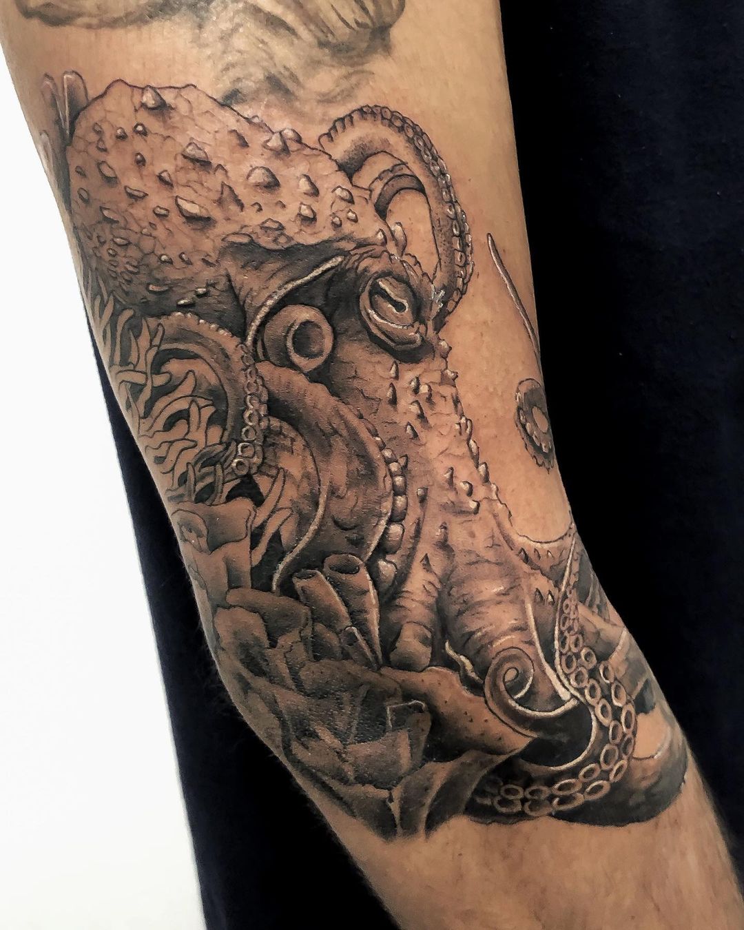 Realistic Octopus Tattoo by Rember Dark Age Tattoo Studio TattooNOW