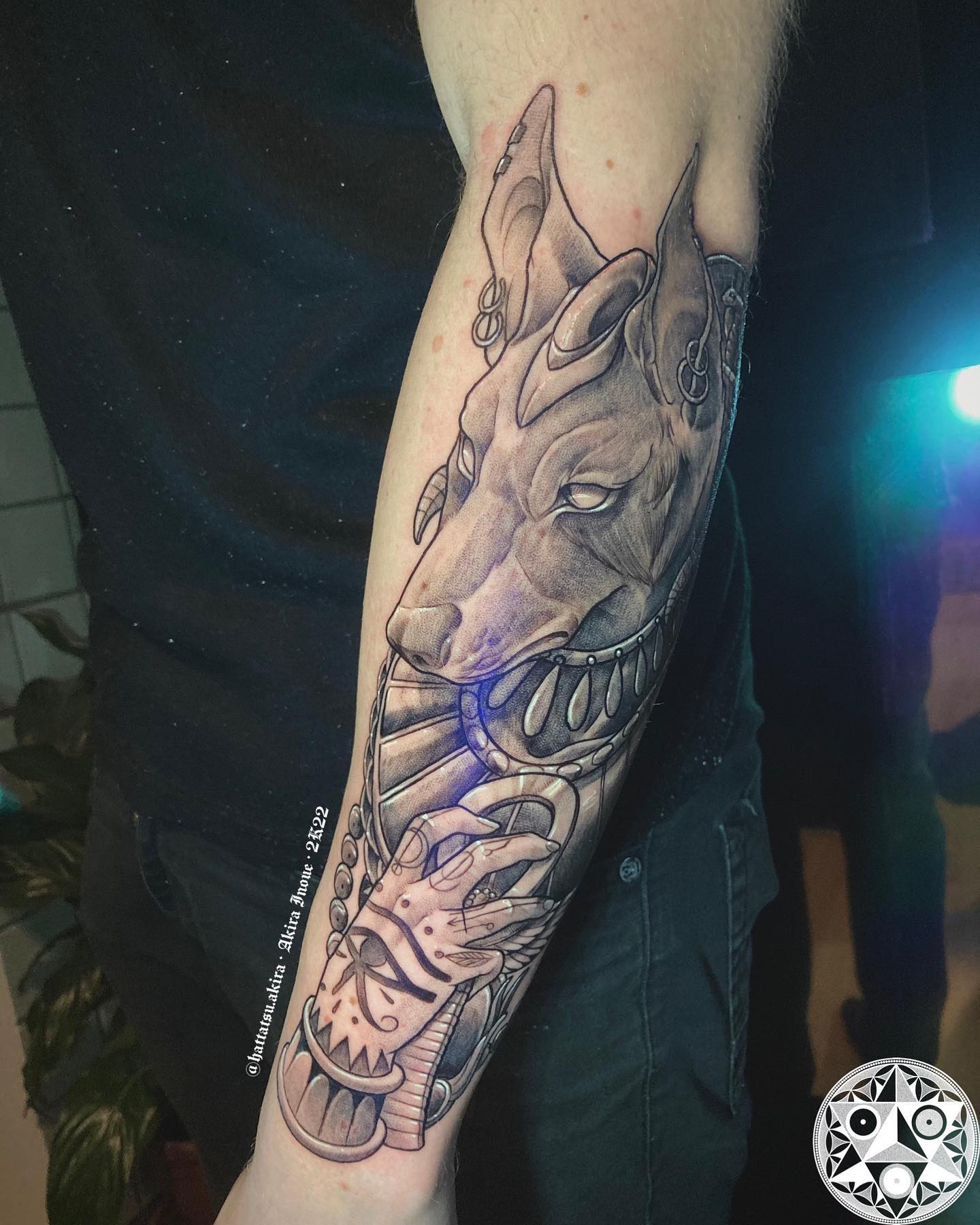 Another splendid Anubis tattoo that is inked on arm.