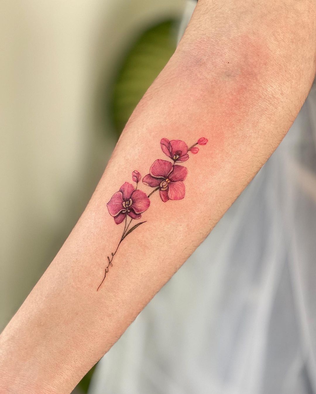 30+ Orchid Tattoos: Top Ideas & Designs, Symbolism, Meaning - 100 Tattoos