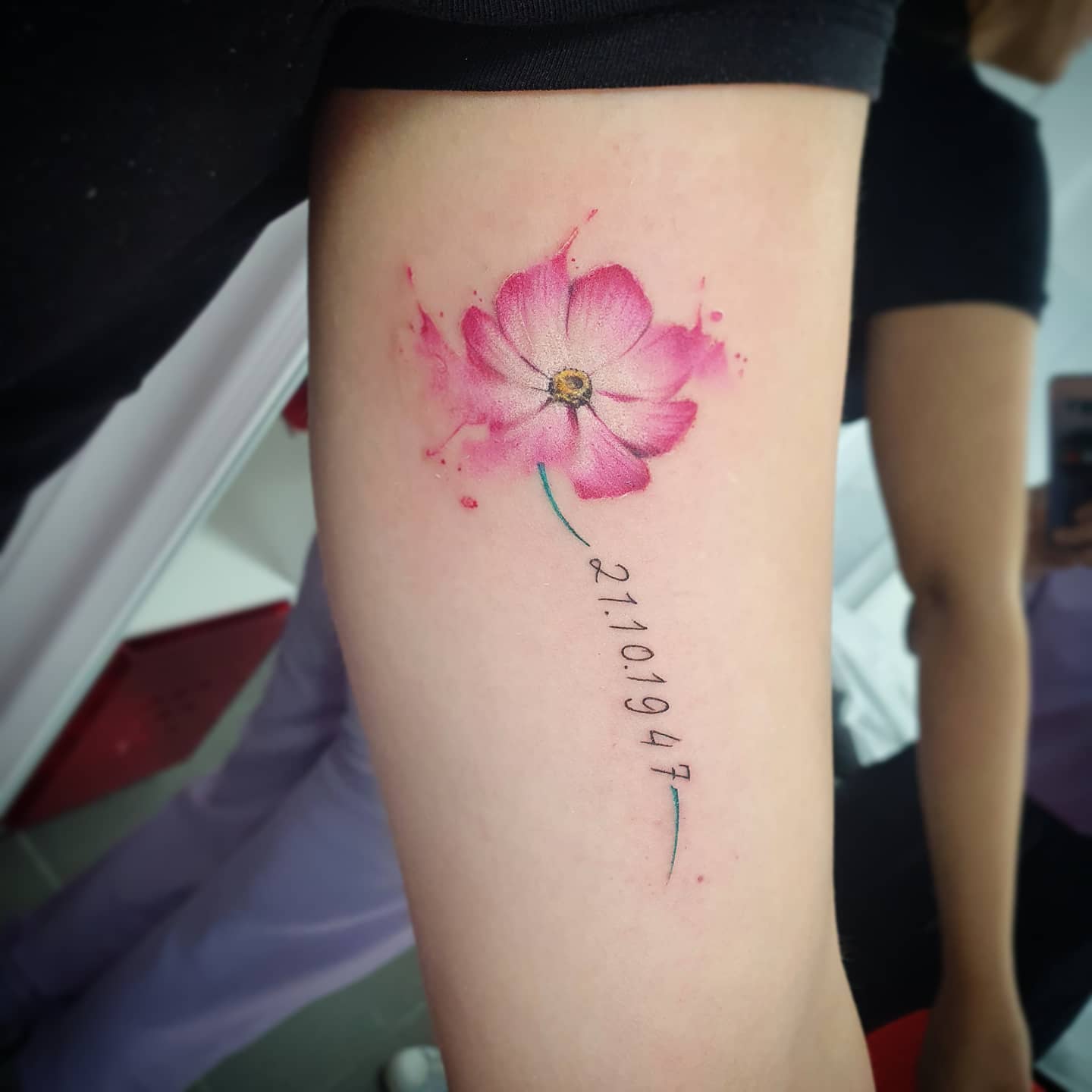 ｃｏｓｍｏｓ✨ . . . #cosmos #cosmostattoo #drawingtattoo #smalltattoo # flowertattoo #maisondeencre… | Small flower tattoos for women, Simple flower  tattoo, Flower tattoos