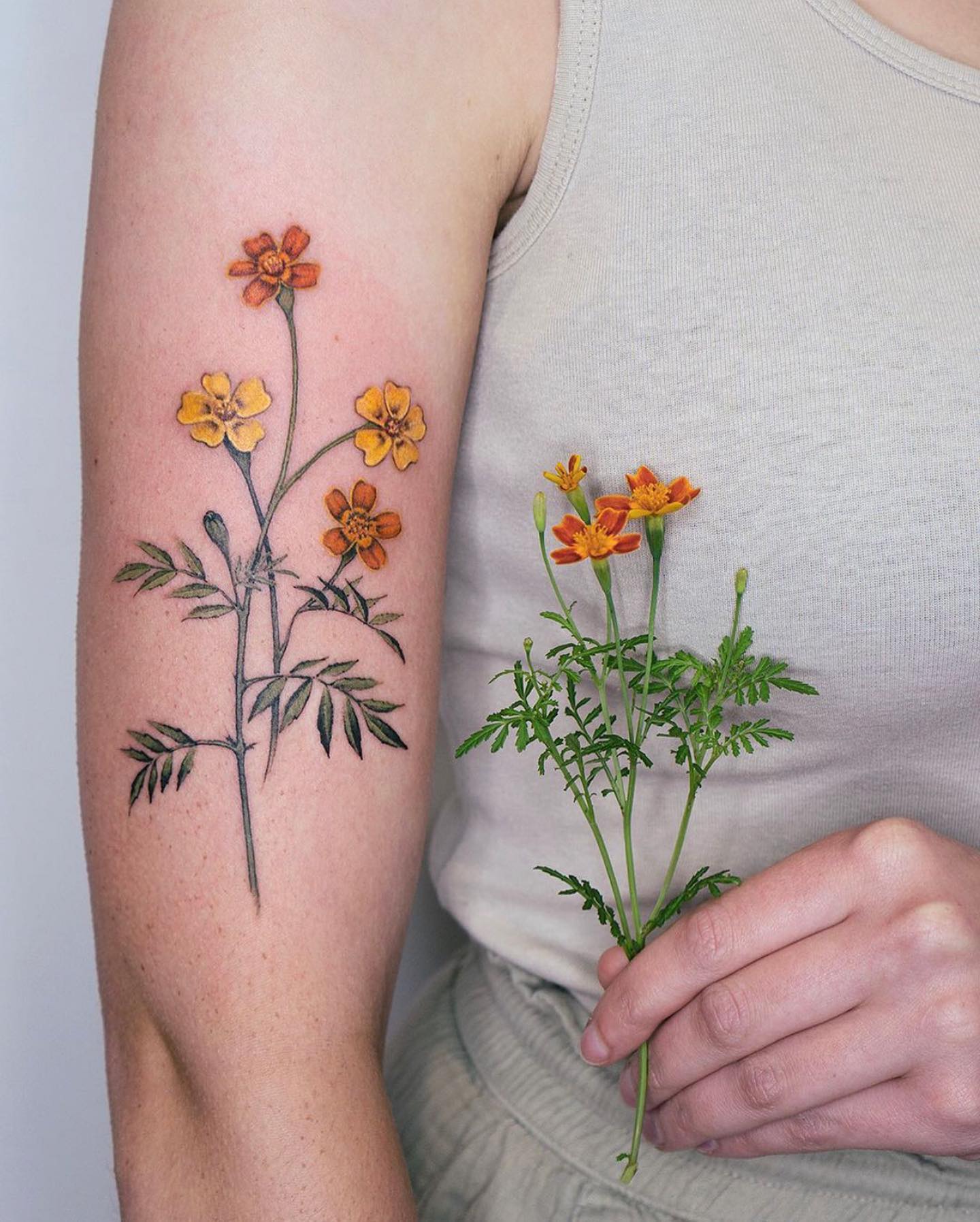 Marigold tattoo on the back by tattooist picsola  Tattoogridnet