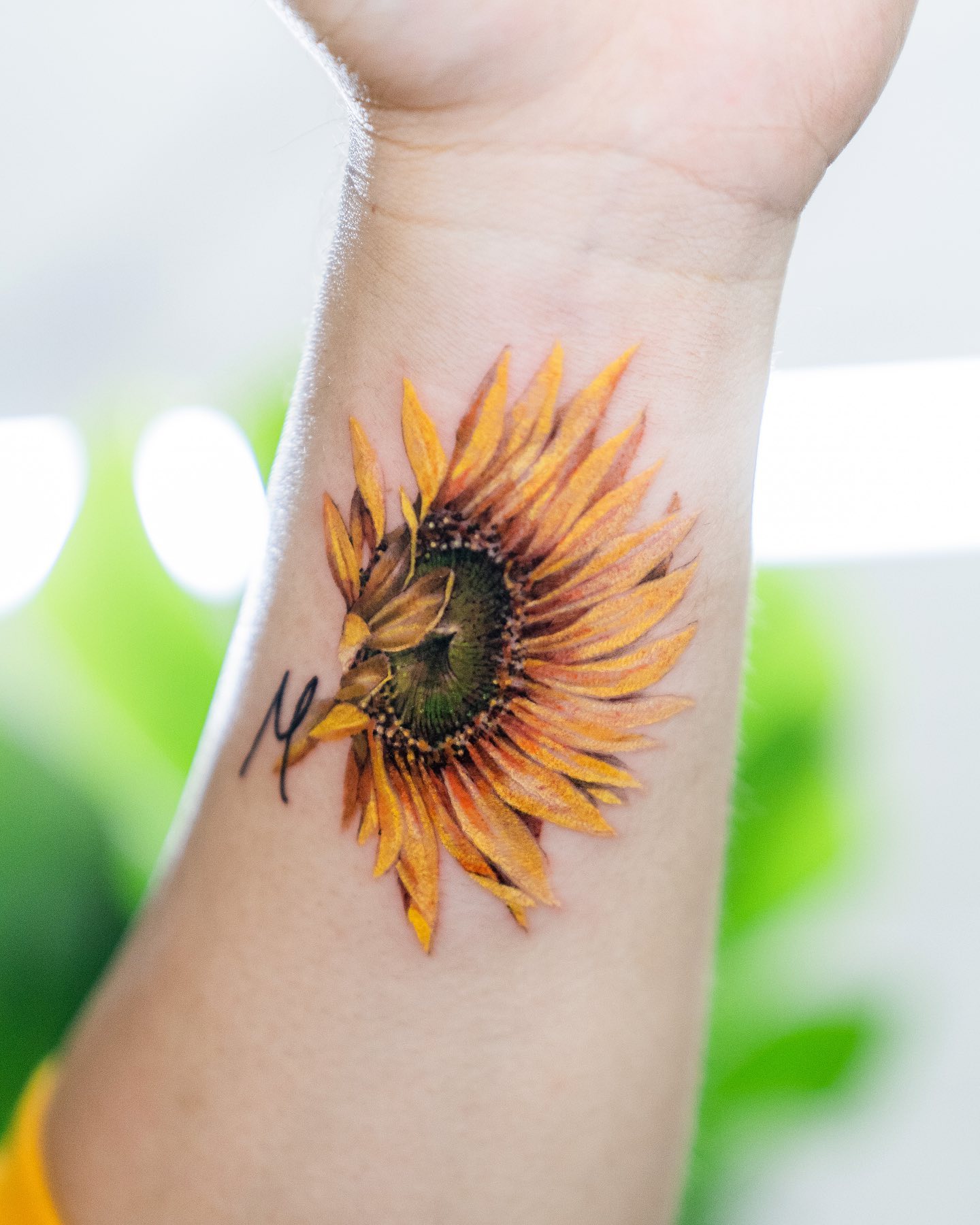 Hummingbird and sunflower  Hummingbird tattoo Sunflower Flower art