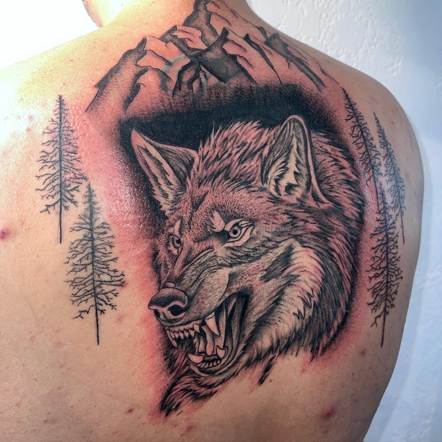 Heated wolf, along with mountain and tress, will look perfect on your back. 