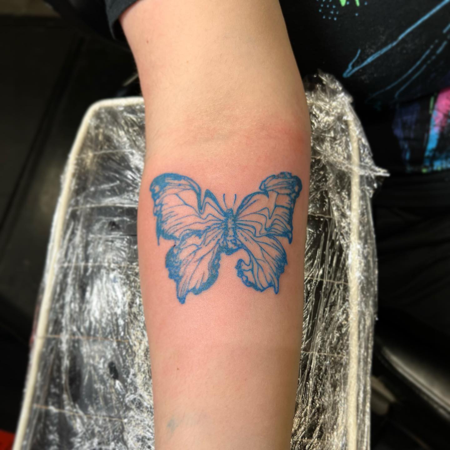 The Blue Butterfly Tattoo What it Means  The Skull and Sword