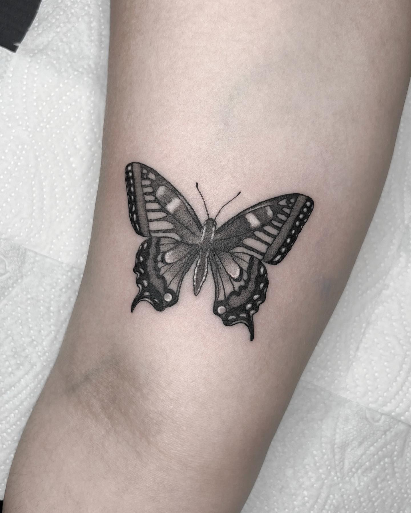 50+ Butterfly Tattoos for Women and Men: Meaning & Symbolism