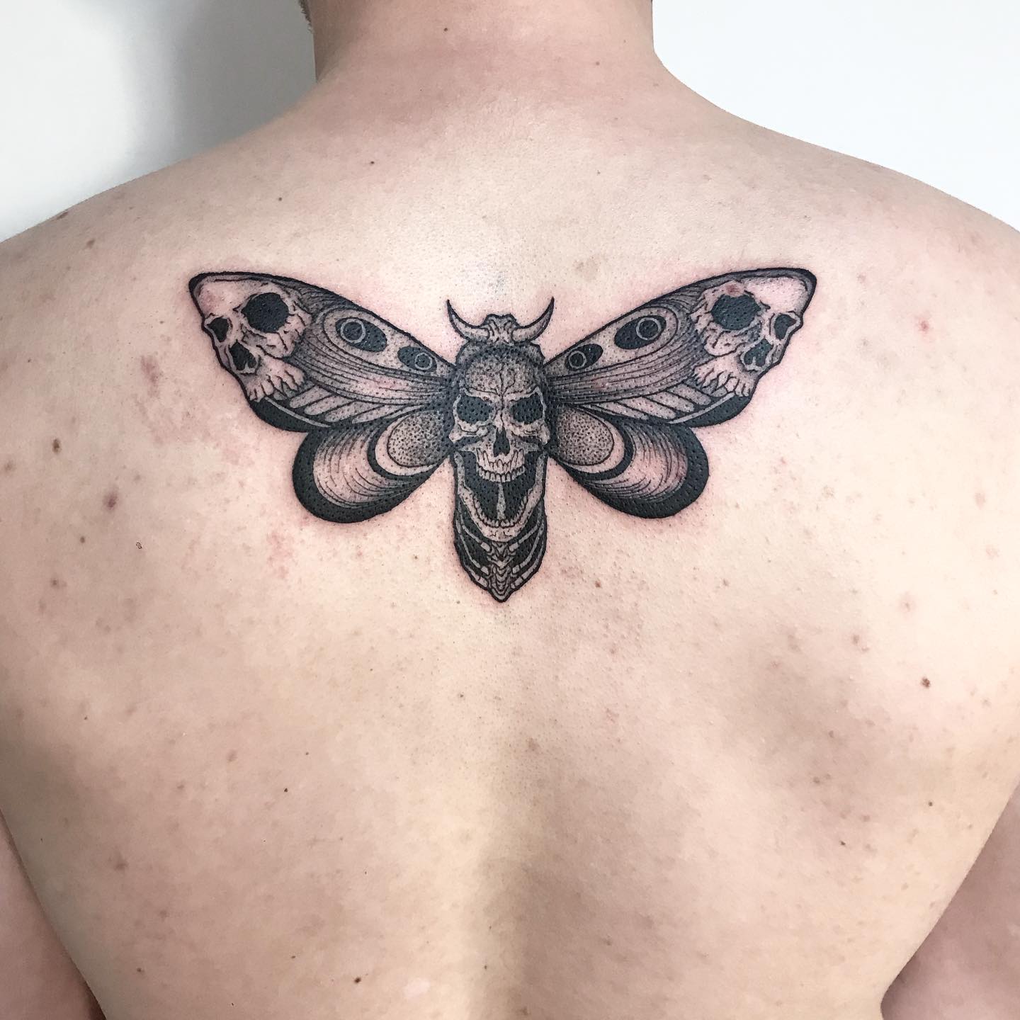 Men who fancy back tattoos will also like this tattoo. It is a somewhat big and scary print that will attract looks and will look dominant on most guys. Stick to a spread-wing concept if you fancy larger and more dominant art.