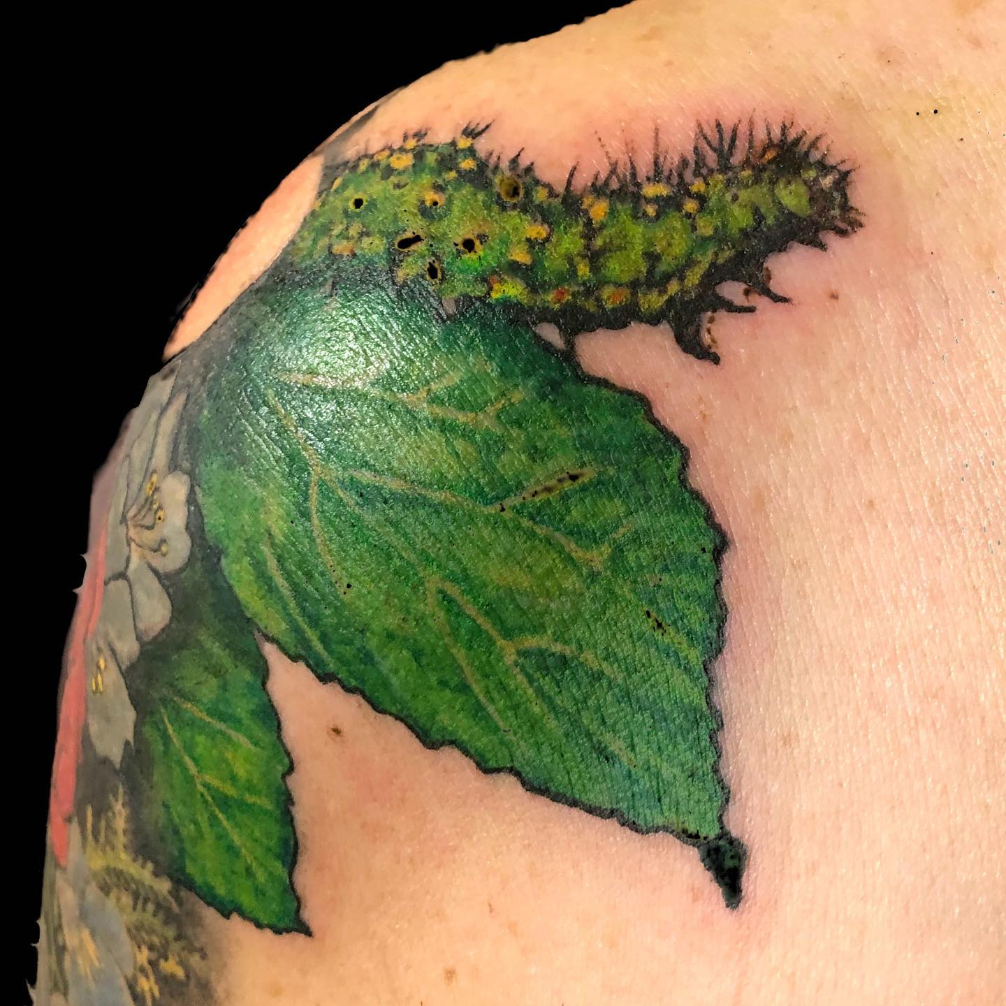 The green leaf symbolizes new and bright optimistic things that will come your way. Fancy its meaning?