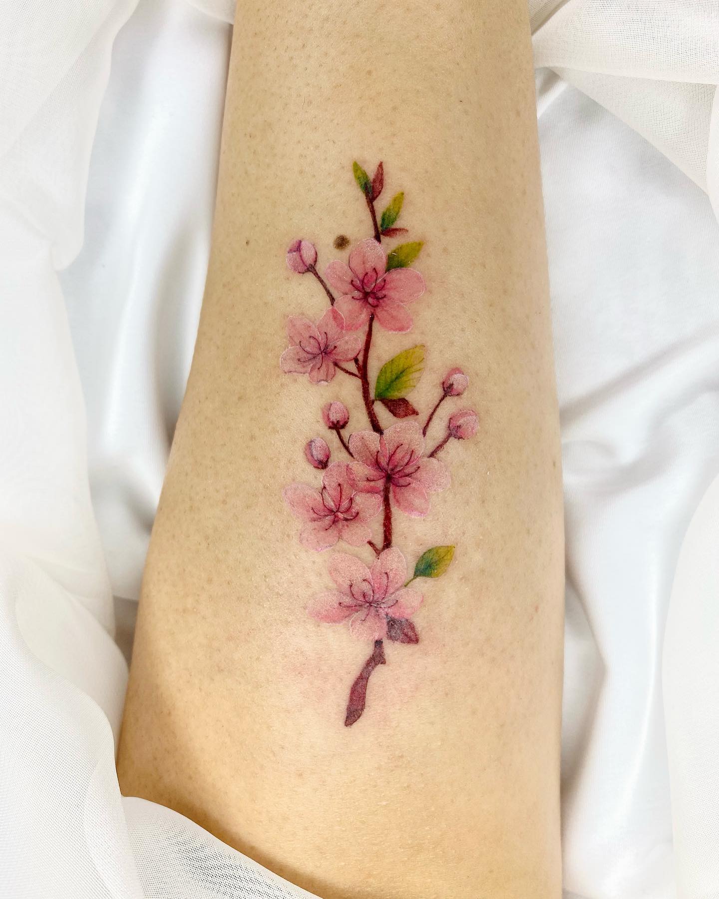 30 Cherry Blossom Tattoo Ideas for Women and Men  100 Tattoos
