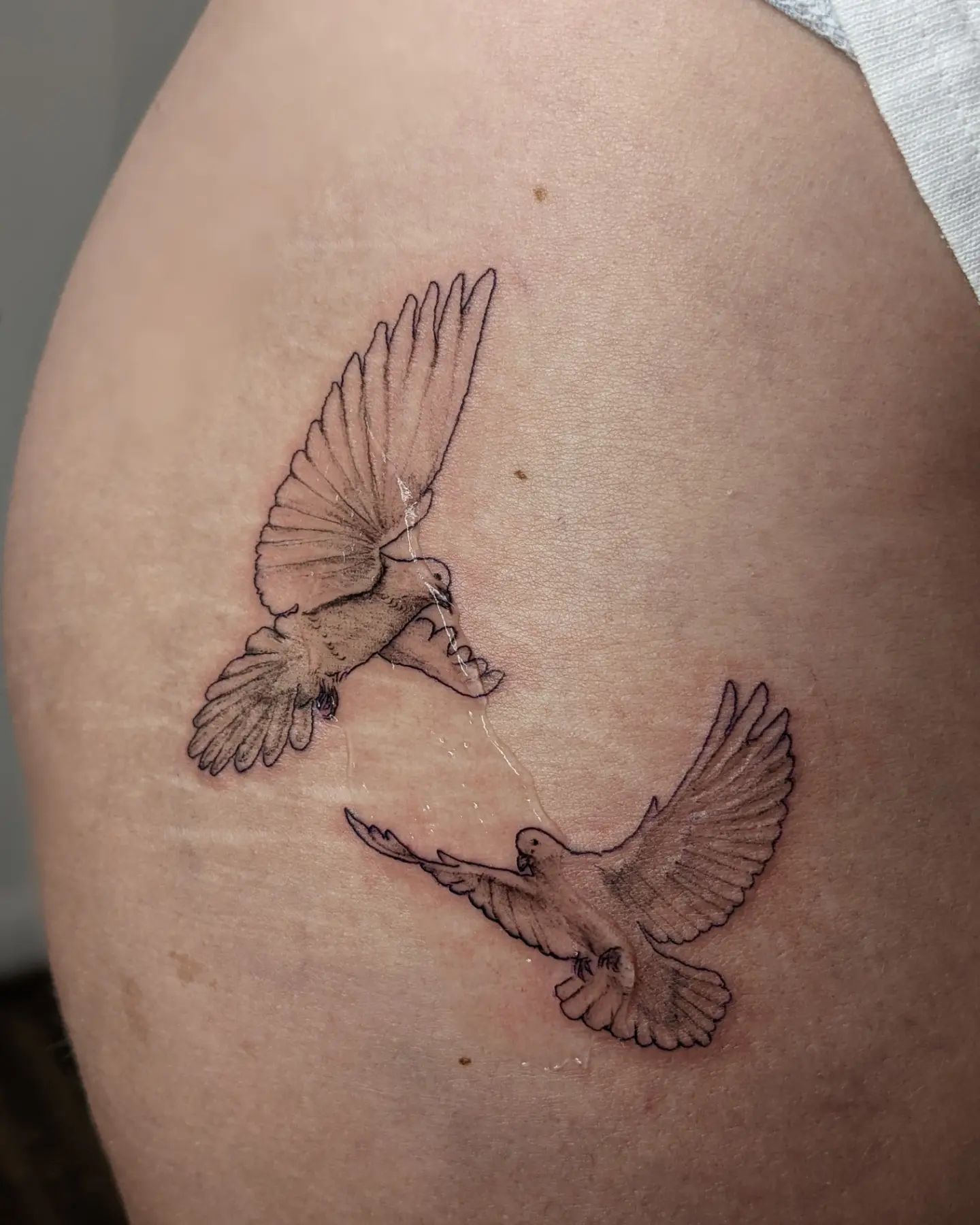 two doves tattoo designs for men