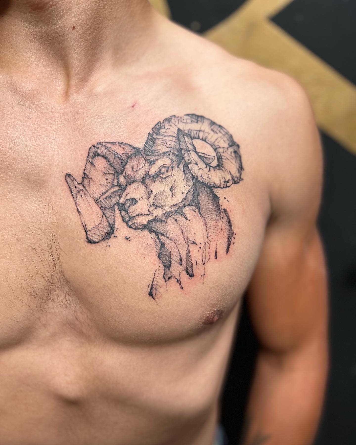 30+ Unique Aries Tattoo Design Ideas for Men and Women - 100 Tattoos