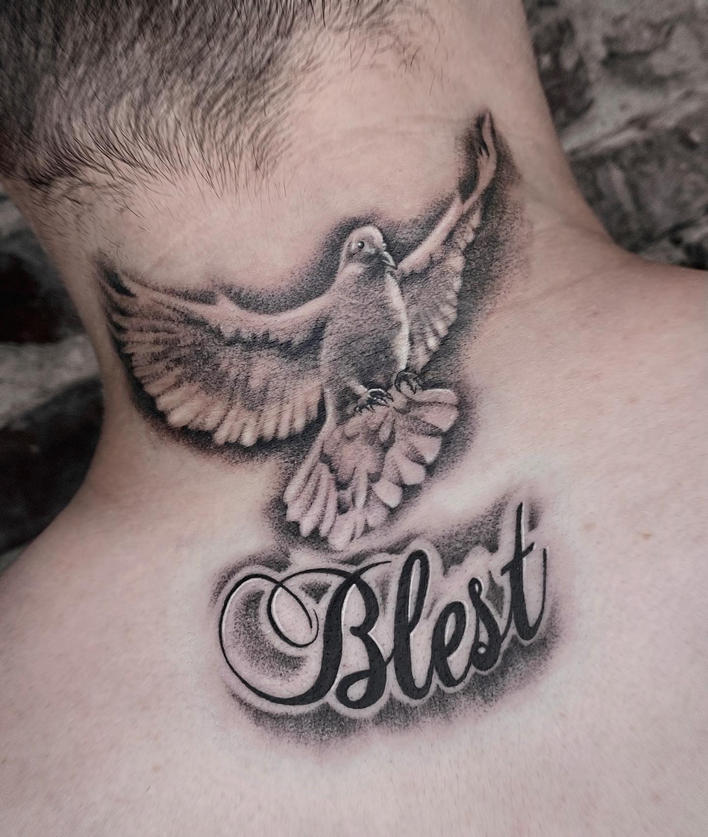 10 Best Dove Tattoo With Clouds Ideas That Will Blow Your Mind  Outsons