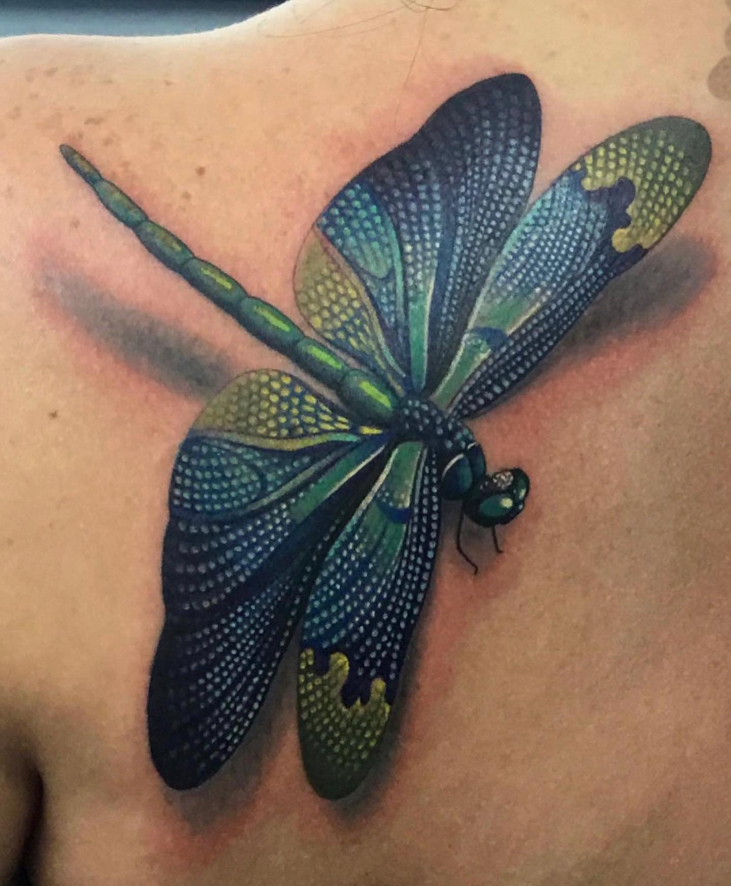 Tattoo uploaded by Rebecca  Dragonfly tattoo MayaKubitza Poland  dragonfly color  Tattoodo