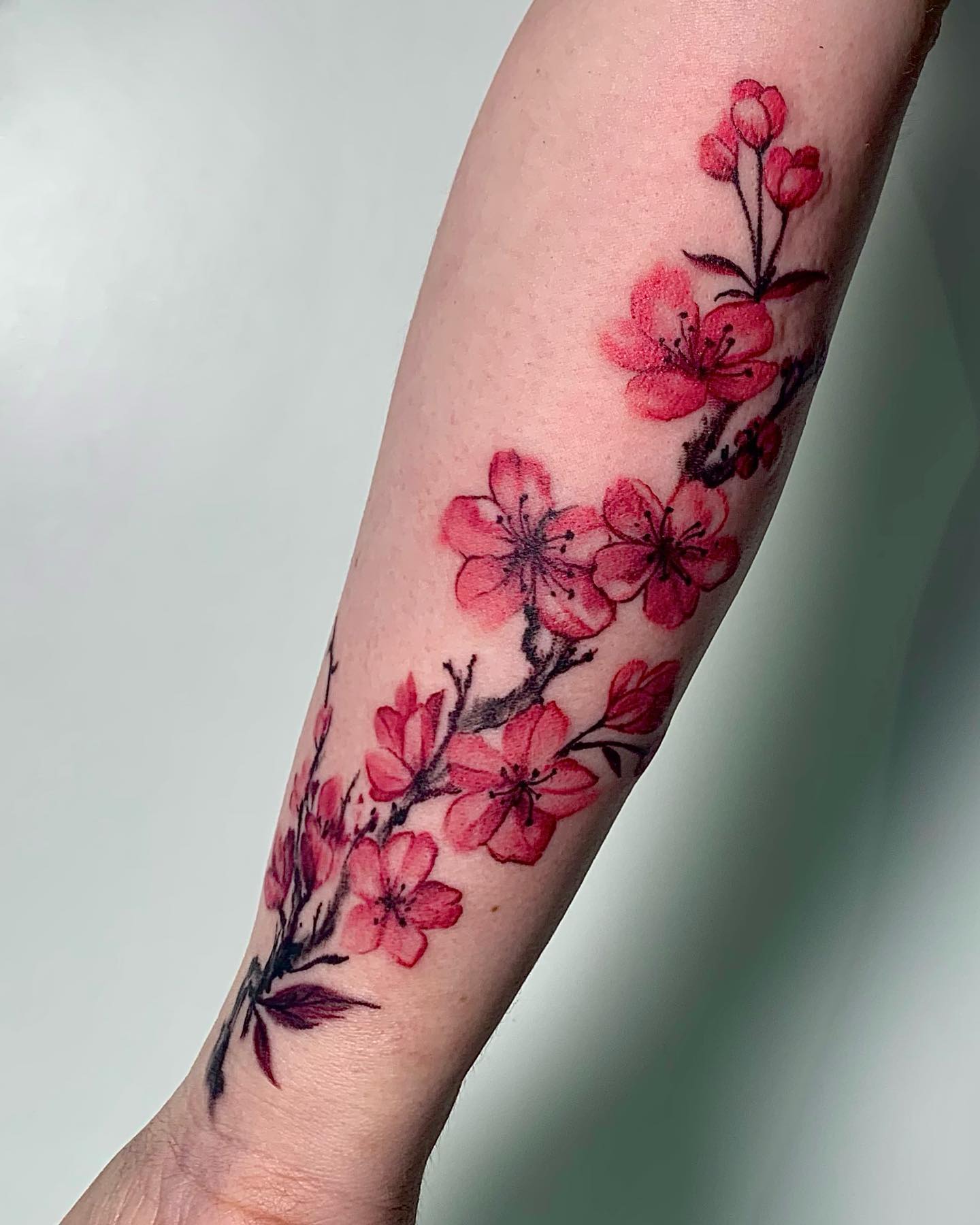 30+ Cherry Blossom Tattoo Ideas for Women and Men - 100 Tattoos