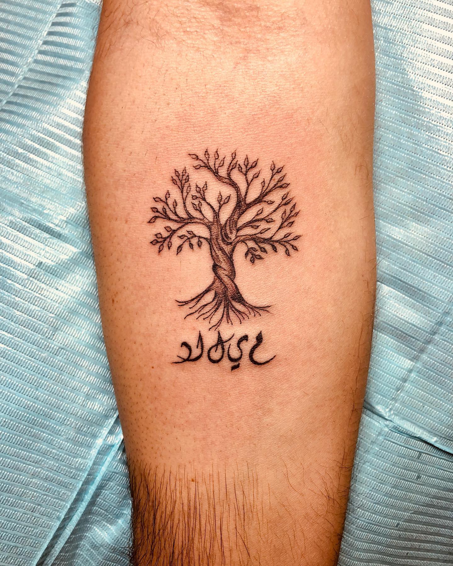 Trees symbolize wisdom, knowledge and growth. Plus, getting a family tree will help you express your love that you feel towards your family.