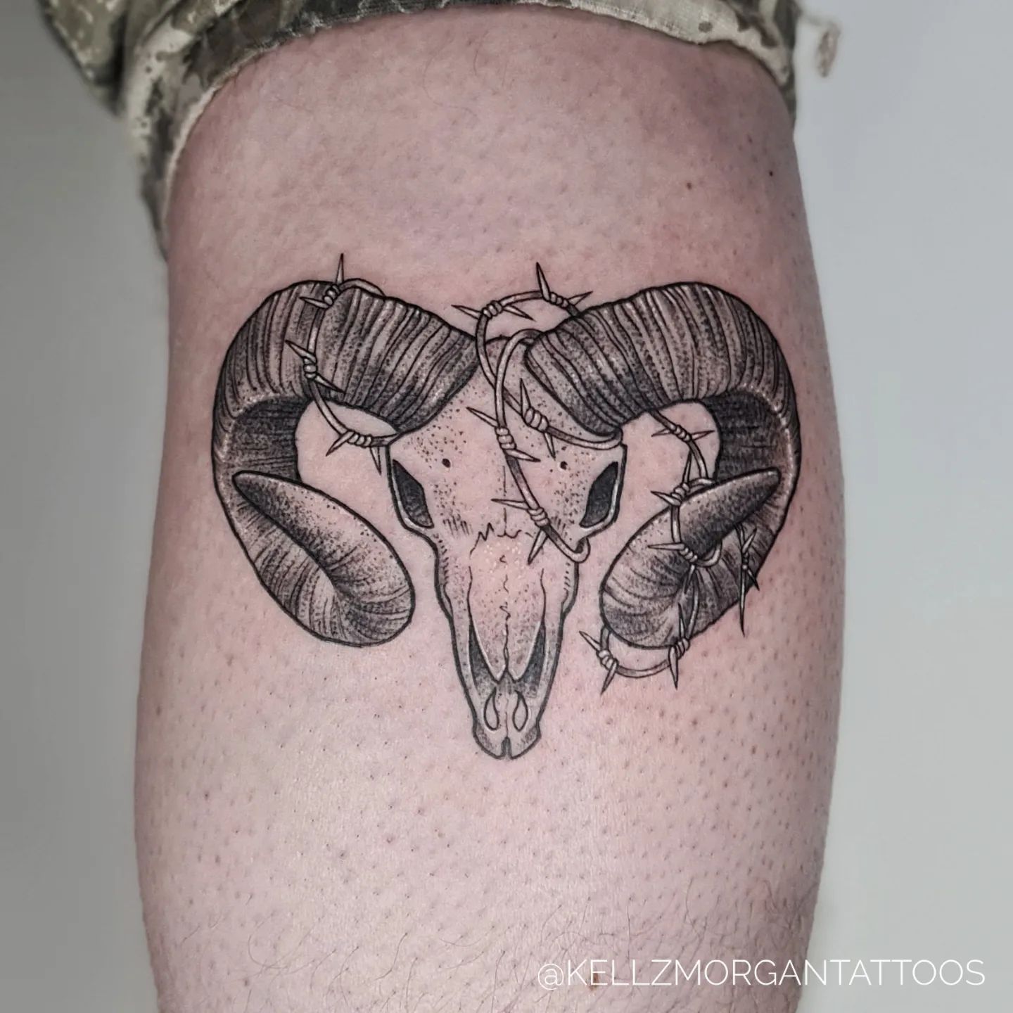 Ram skulls are so cool, aren't they? In many ancient societies, this ram skull is a symbolic figure. It symbolizes determination, renewal and boldness. To take this cool and wild ram skull to a whole different level, adding a barbed wire around its horn is all you need.