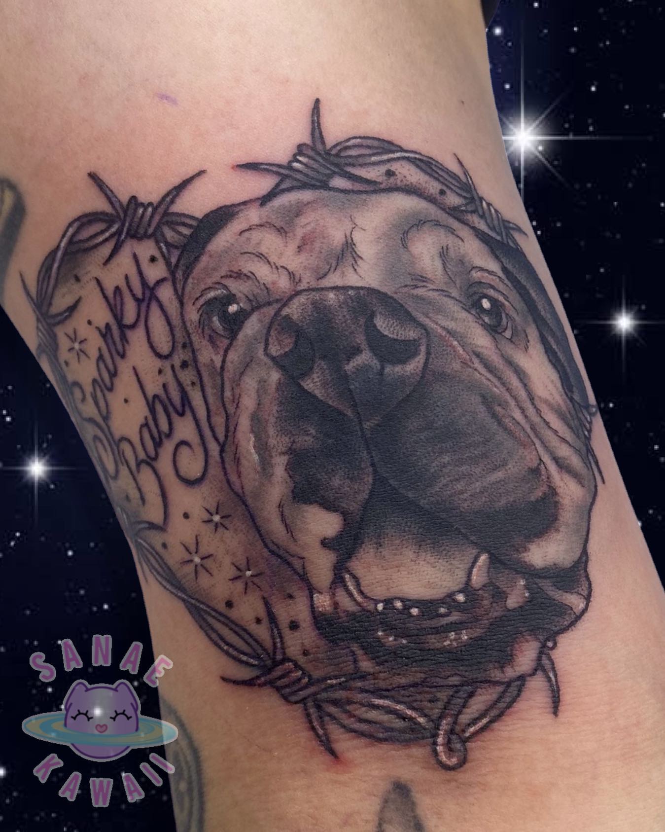 Our pets are our family members and they are one of the most adorable things in life. No matter which pet you have in your life, you can keep them on your body as a tattoo. A barbed wire surrounding your pet will symbolize that you do not let anyone give harm to your loved one.