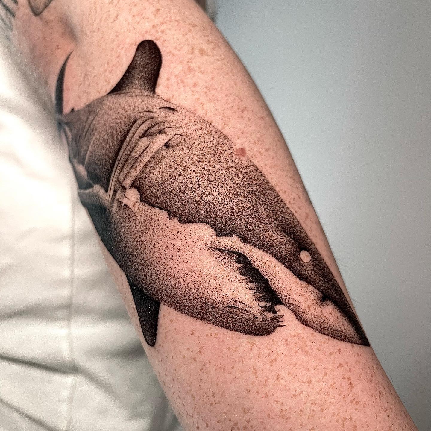 If you want to get this kind of a highly detailed dotwork tattoo, you better search for competent tattooist. The reason is it requires a talent to create a shark like this.