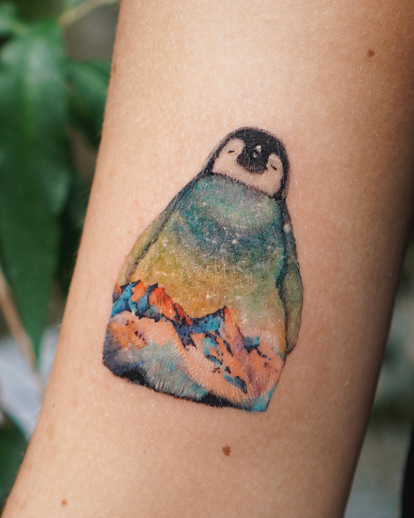 Overlayed in Antarctica, the penguin is in his happy place since we understand because of his smiley face. You should give this tattoo a try.