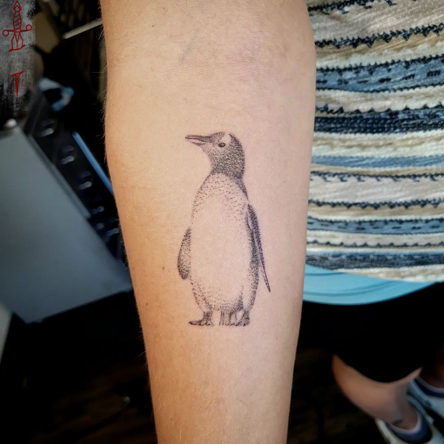 Here is a splendid dotwork penguin tattoo to get. It look so simple but the beauty is in simplicity, isn't it?