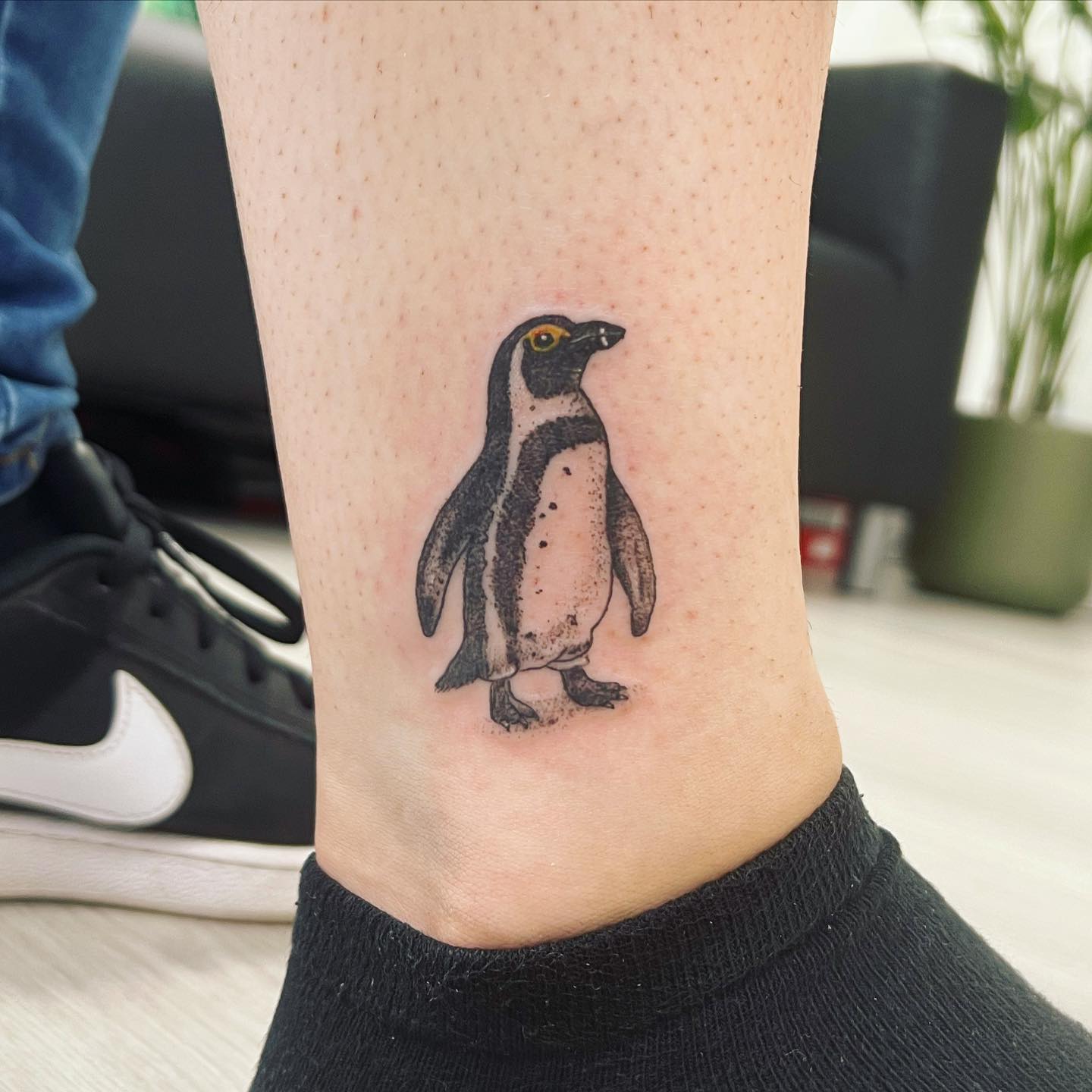 Sometimes it is really interesting to see how realistic some tattoos are. This realistic and shady penguin tattoo is ready to make you shine.