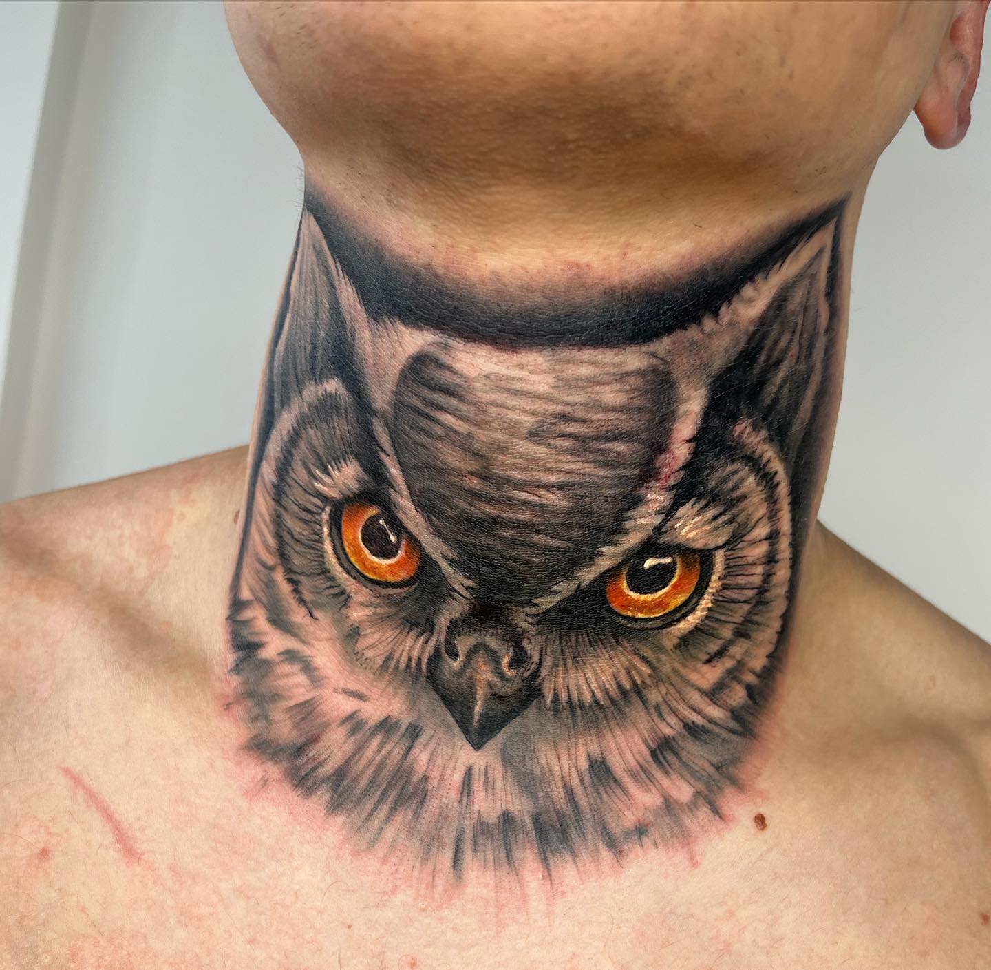 It's a fabulous owl work with detailed feather lines, colors and shadows. In general, owl tattoo symbolizes the wisdom and mystery, also in Native American cultures, it represents the afterlife. This mysterious animal will be a right choice for you.