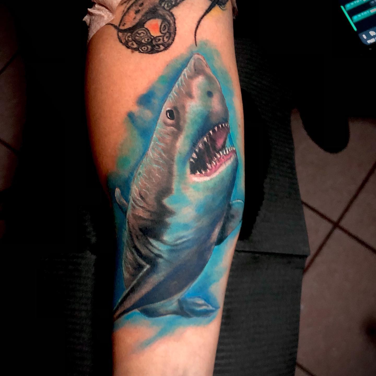 Aggregate 128+ great white shark tattoo designs latest