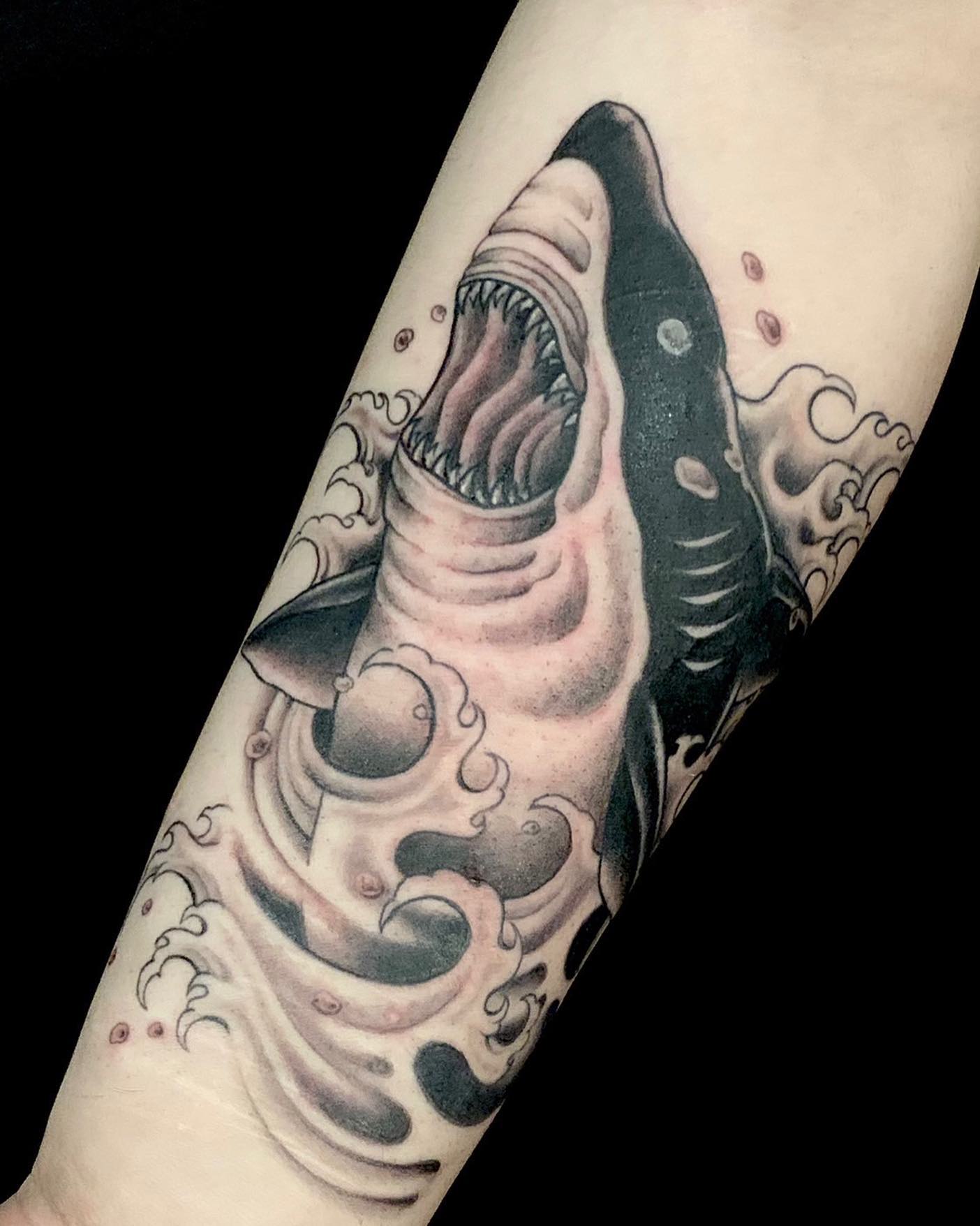 45 Best Shark Tattoos  Designs On Arm  Татуировка Эскиз Акулы  Free  Transparent PNG Clipart Images Download