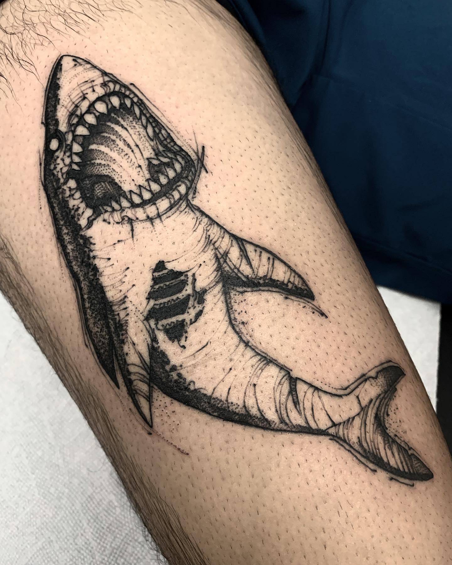 55 Wonderful Shark Tattoo Designs with Meaning