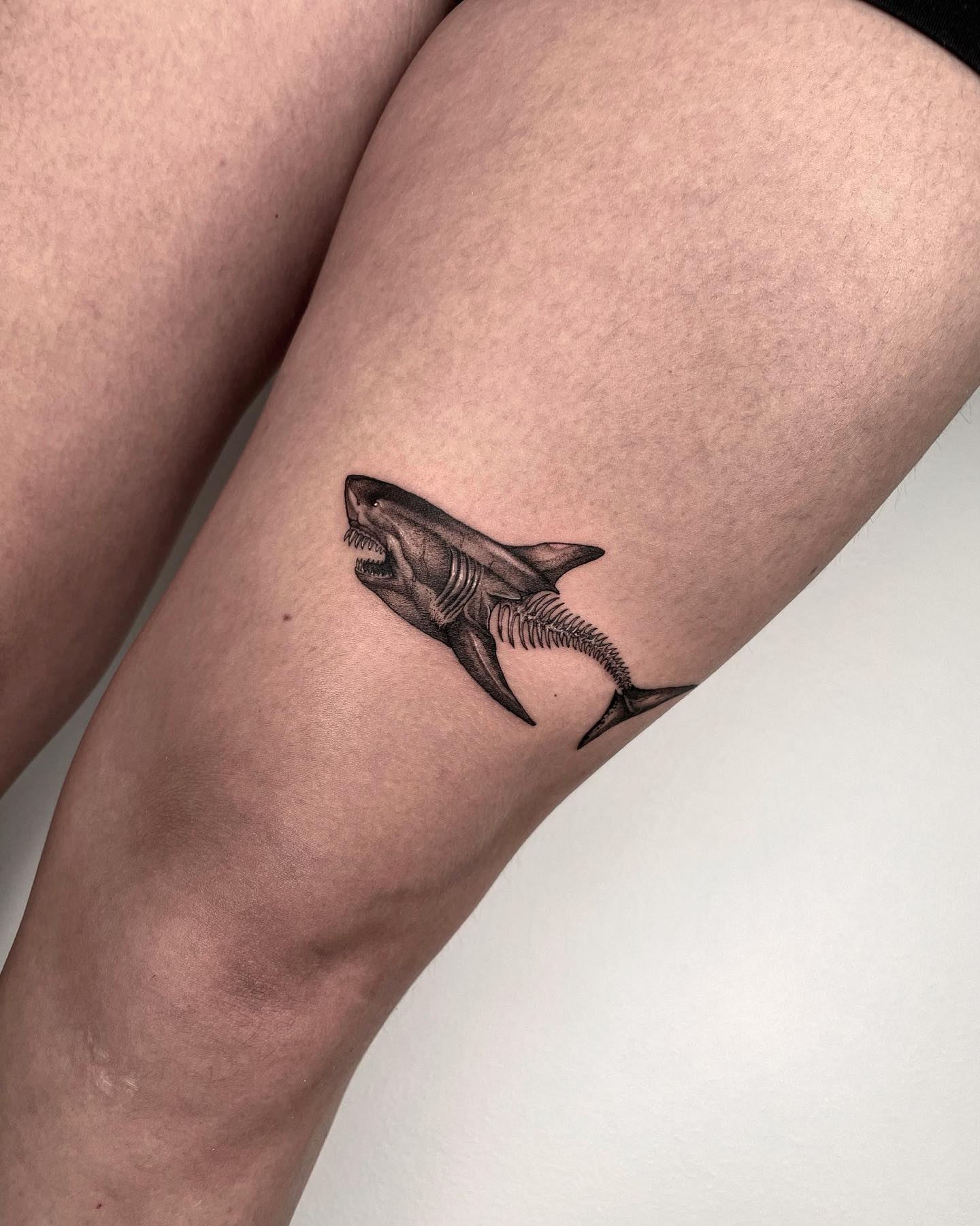 Black and grey style shark tattoo on the left forearm