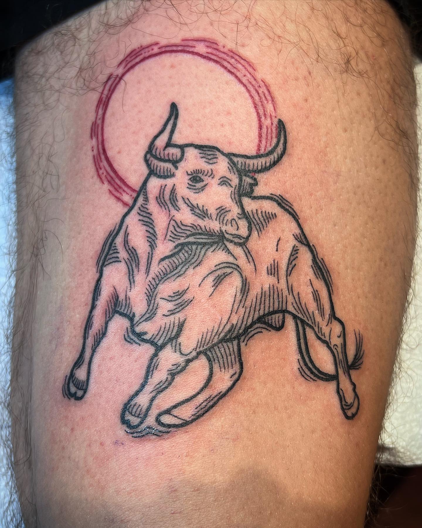 Taurus Tattoo Vector Images over 4600