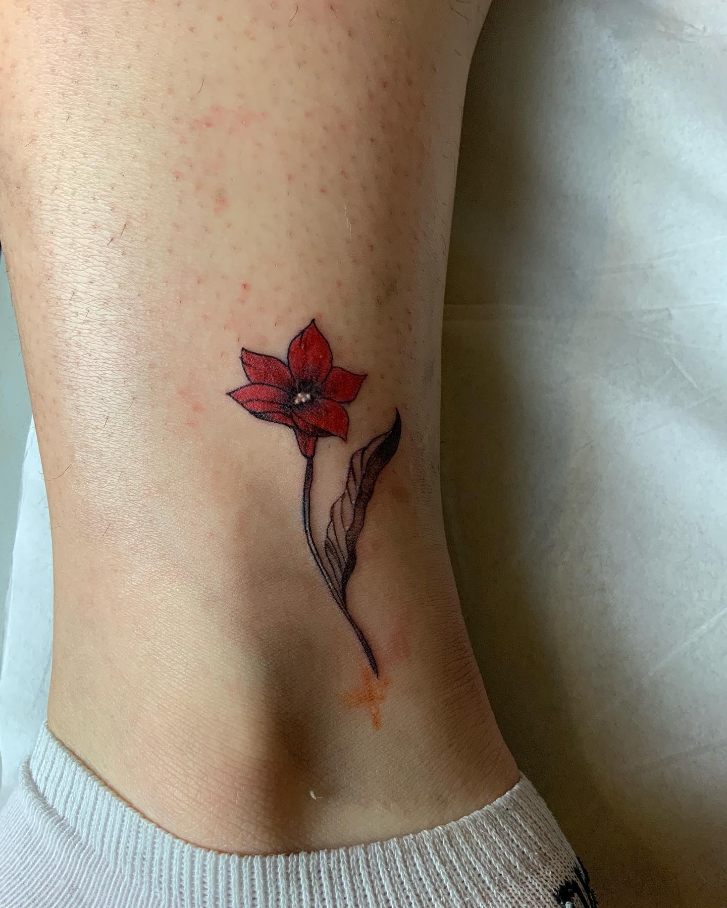 In the world of tattoos, small red lily is a symbol that represents the heart. It's an open flower that looks like a heart, but with a red color and a dark center. The small red lily tattoo is often used to represent love, passion, and desire.