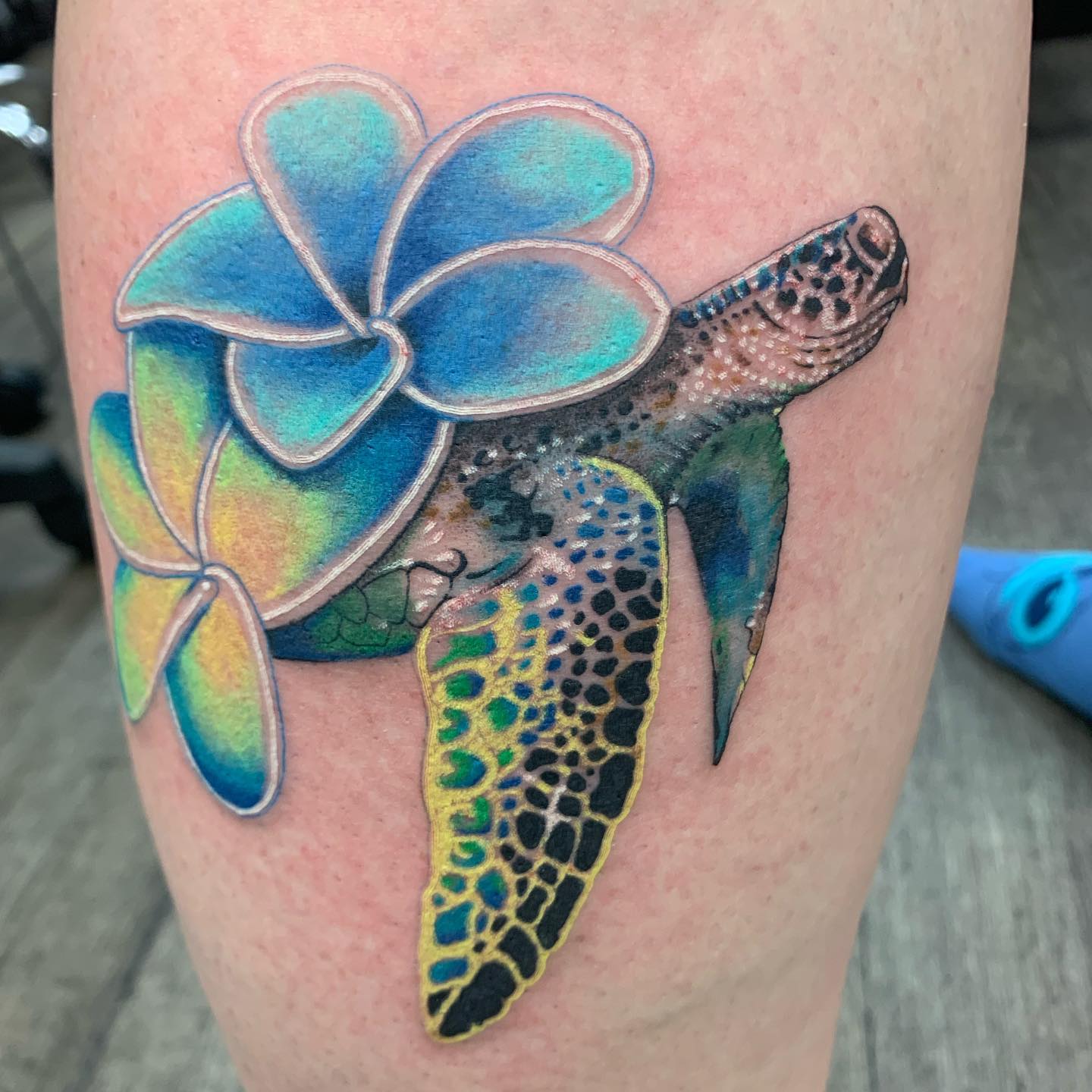 This is so pretty! I love the combination of the flower shell and the sea turtle. It looks like the shell is coming out of her back, which makes it look like she's emerging from it.