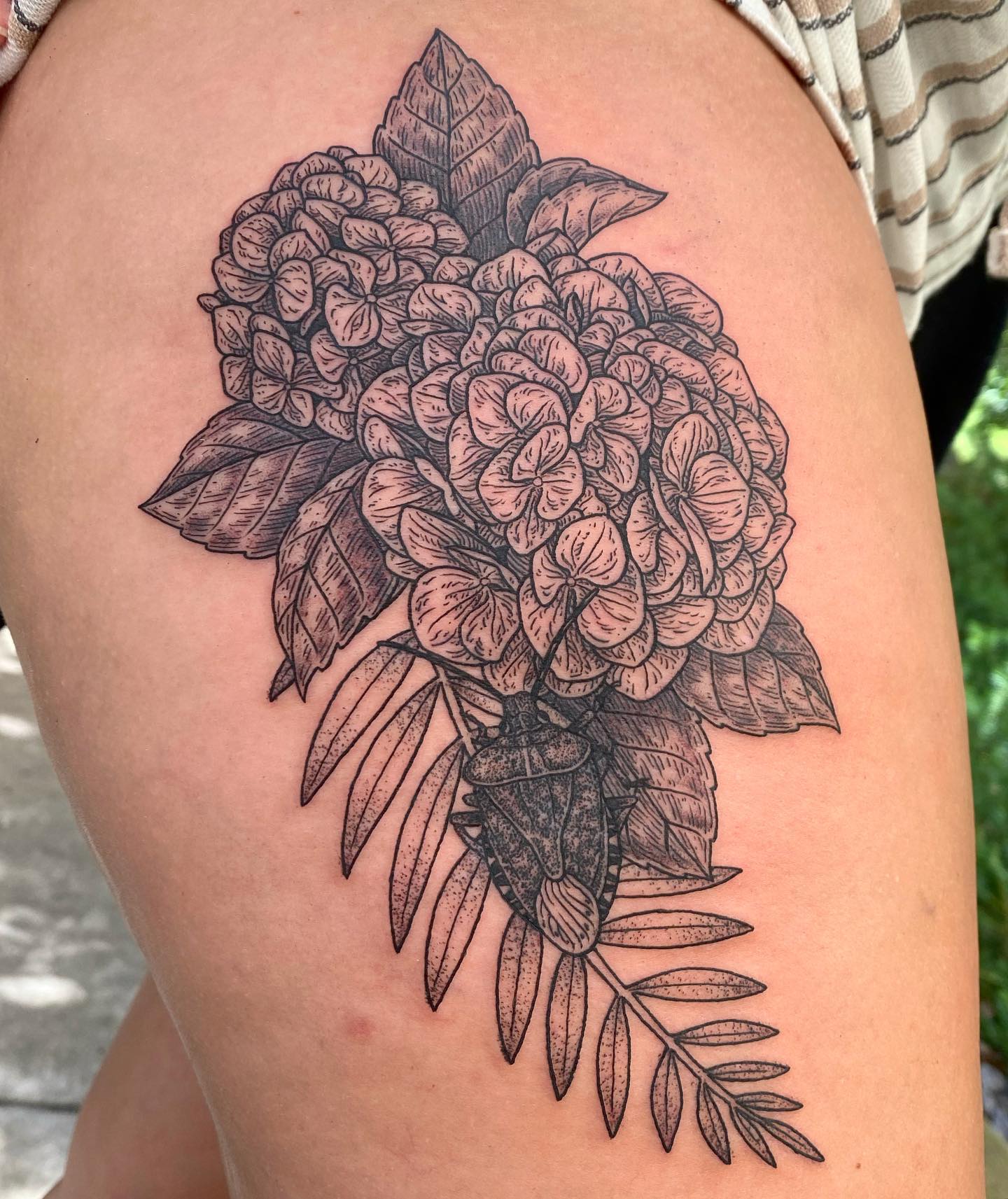 30+ Hydrangea Tattoo Designs As Unique As The Flower Itself - 100 Tattoos