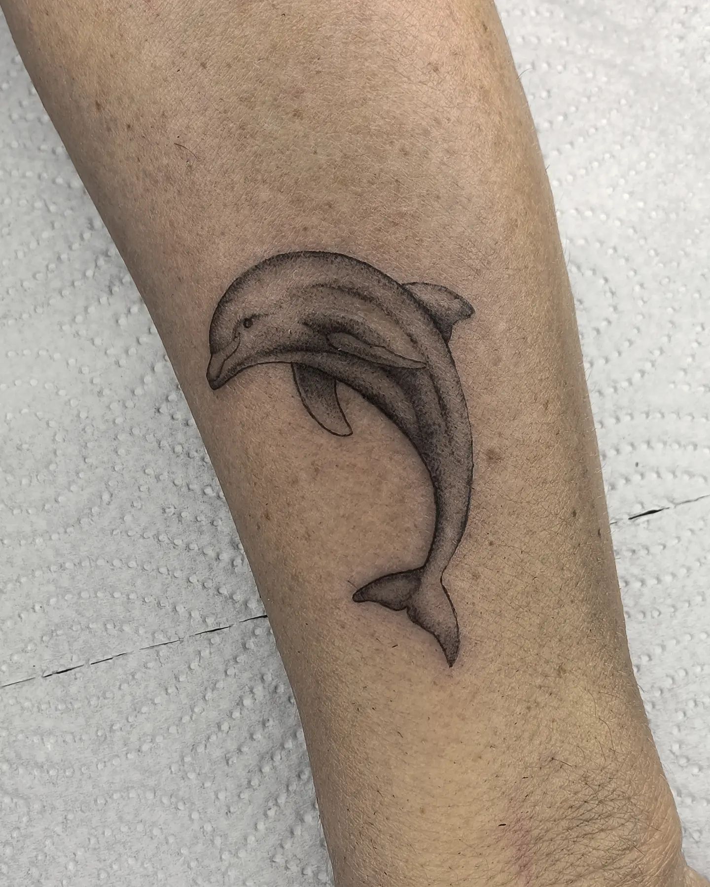 The Meaning of Dolphin Tattoos: A Guide to Symbolism and Interpretation -  Impeccable Nest