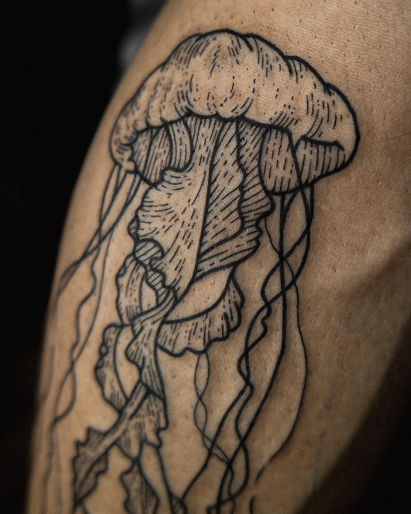 The Painted Lady Tattoo - Beautiful colors on this jellyfish tattoo by Nate  Brinker- @nate_brinker_tattoos. Want to schedule with Nate? Email him at  natebrinkerbooking@gmail.com. . . . . #jellyfishtattoo #tattoosleeve  #colortattoos #neotraditionaltattoo #