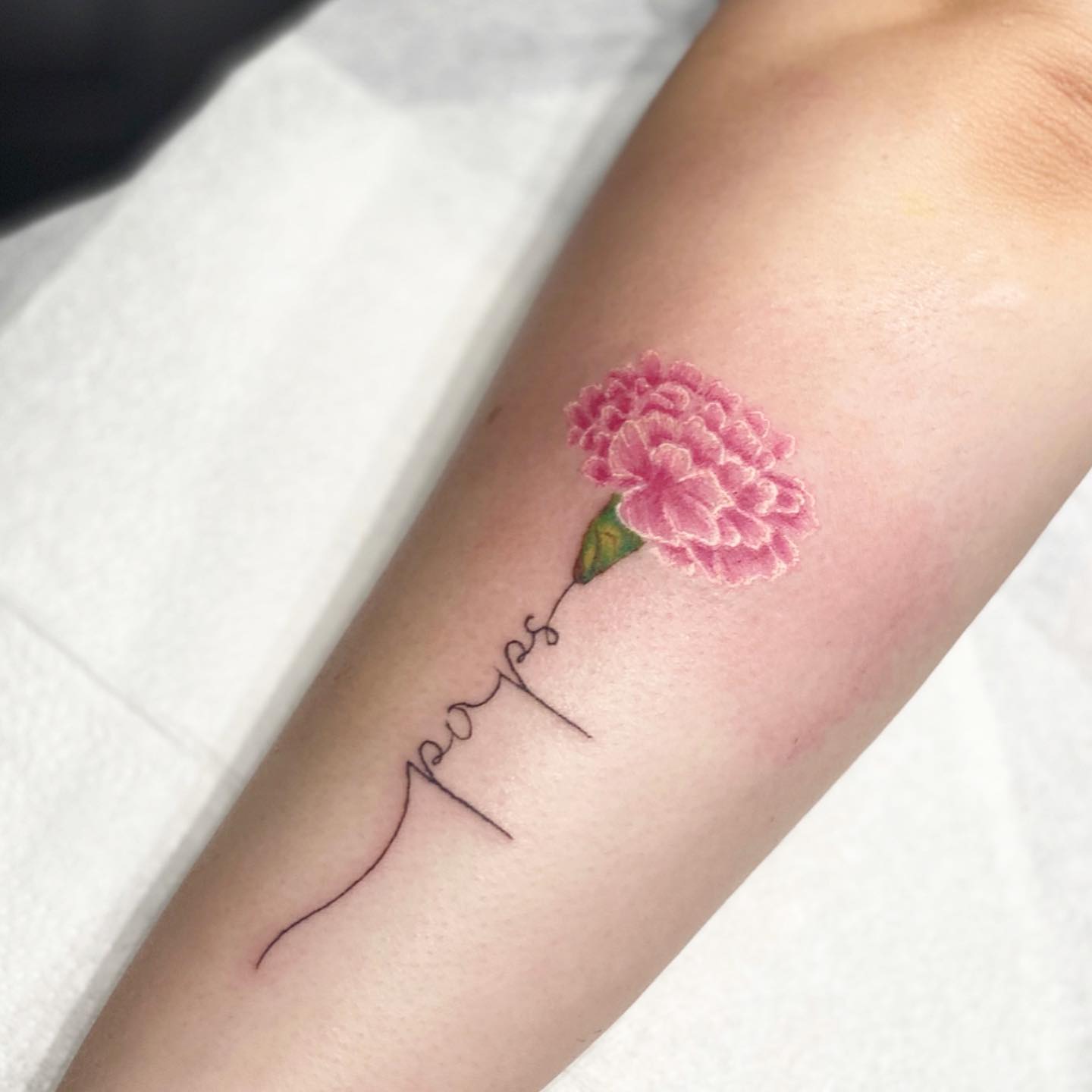30+ Carnation Tattoos to Honor the January Birth Flower - 100 Tattoos