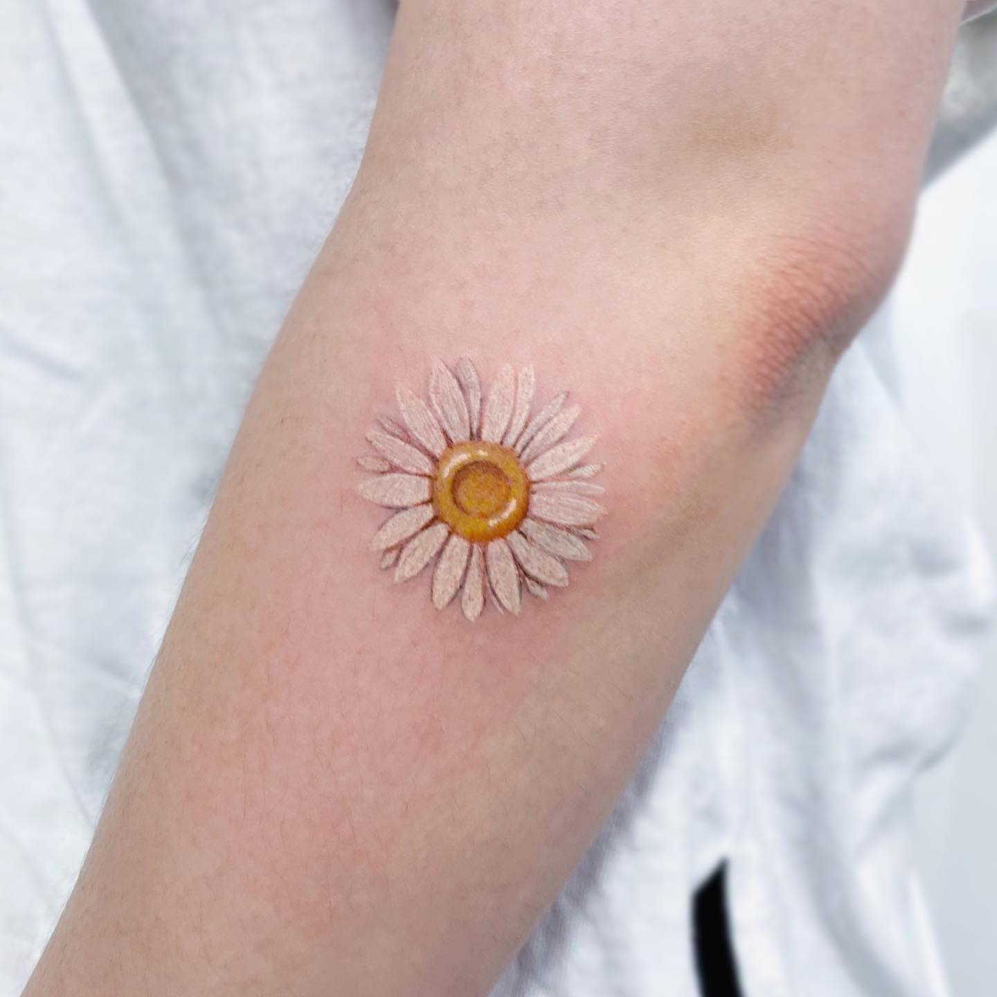 Daisies are adorable and they are such a cheerful flower! Plus, its meaning is great because it symbolizes loyalty, love and luck. With its pure white petals that are arranged in a great way, you will feel like an embodiment of cuteness. 