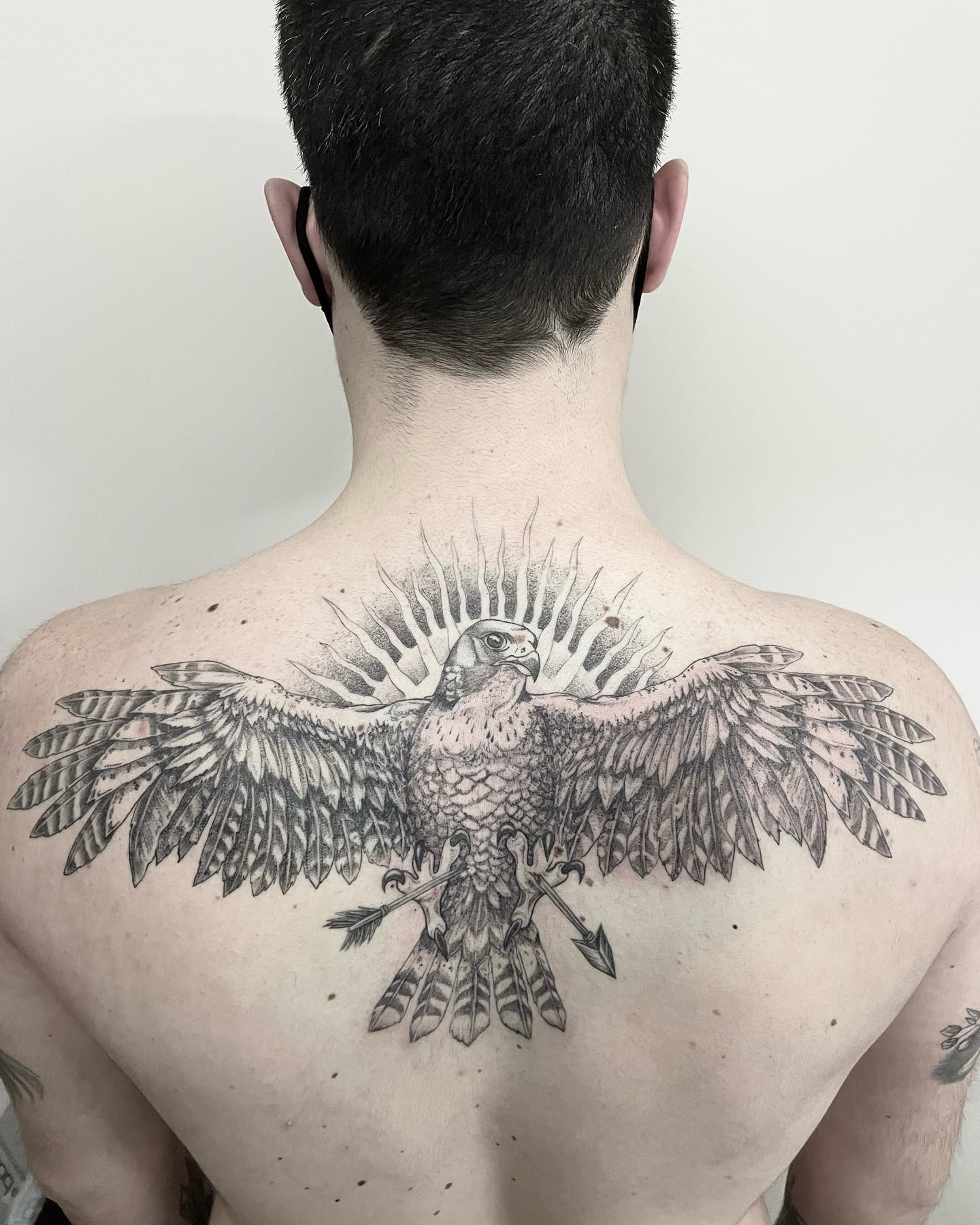 Bird on back tattoo men