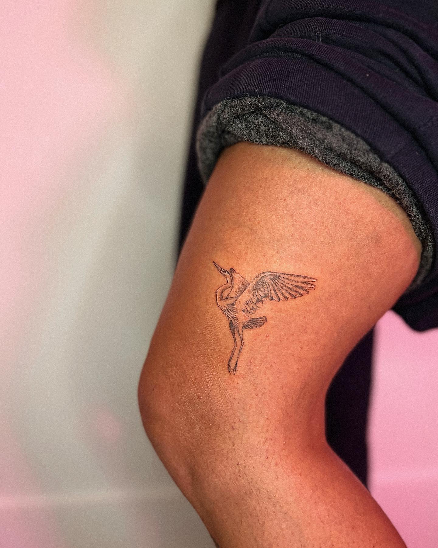 butterfly side knee tattooTikTok Search
