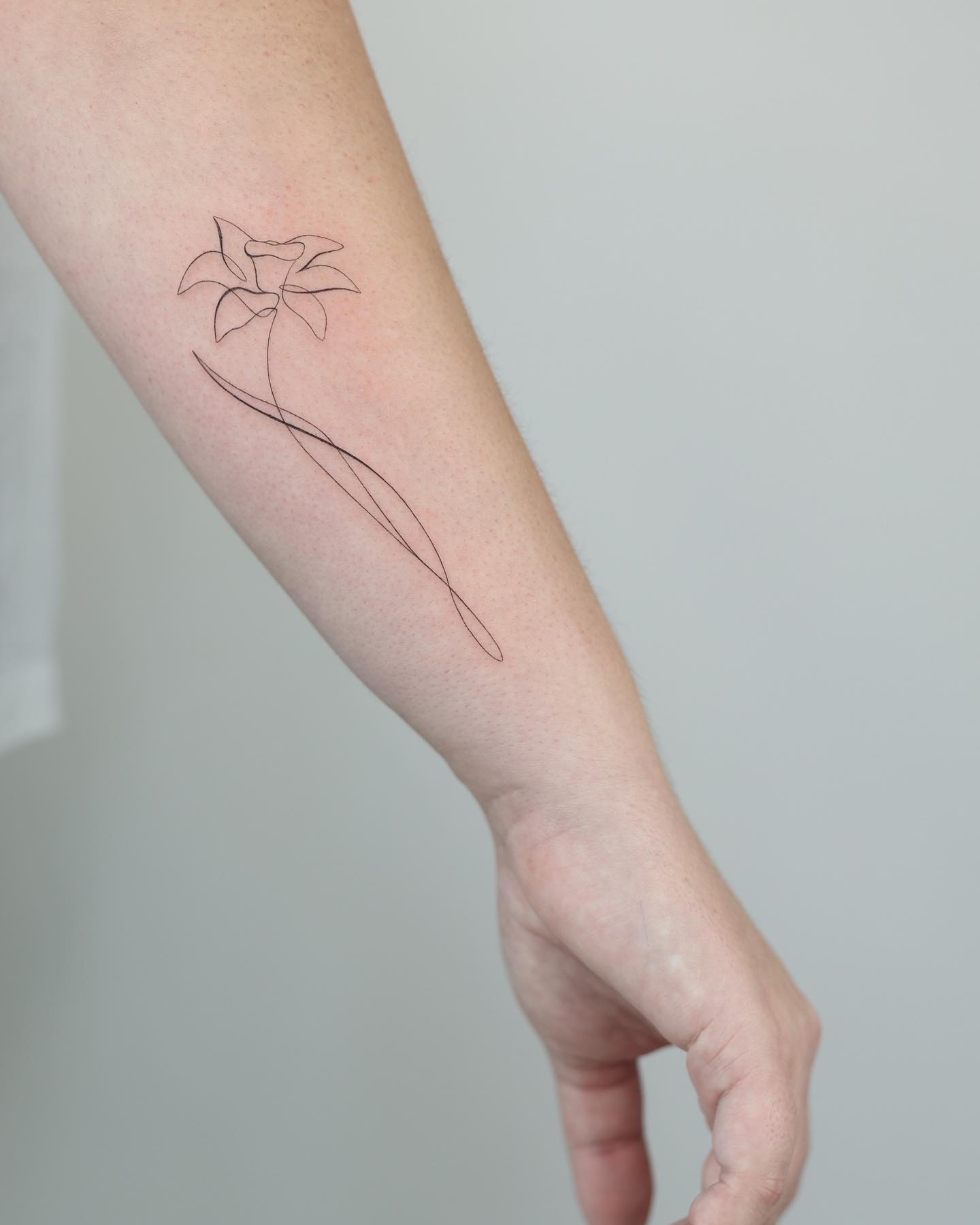 March Birthflower Blooms on Skin: 30 Daffodil Tattoo Designs for Inspiration - 100 Tattoos