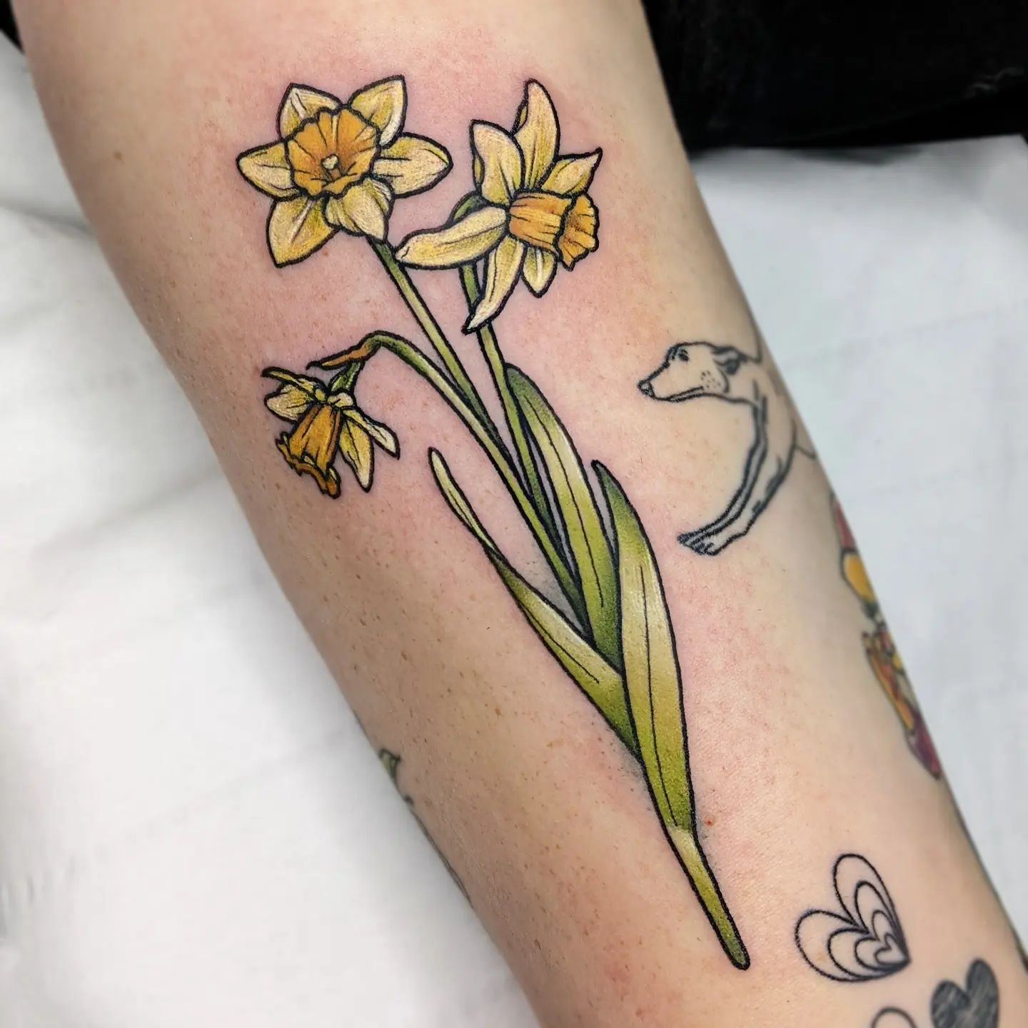 Narcissus Tattoo  meaning photos sketches and examples